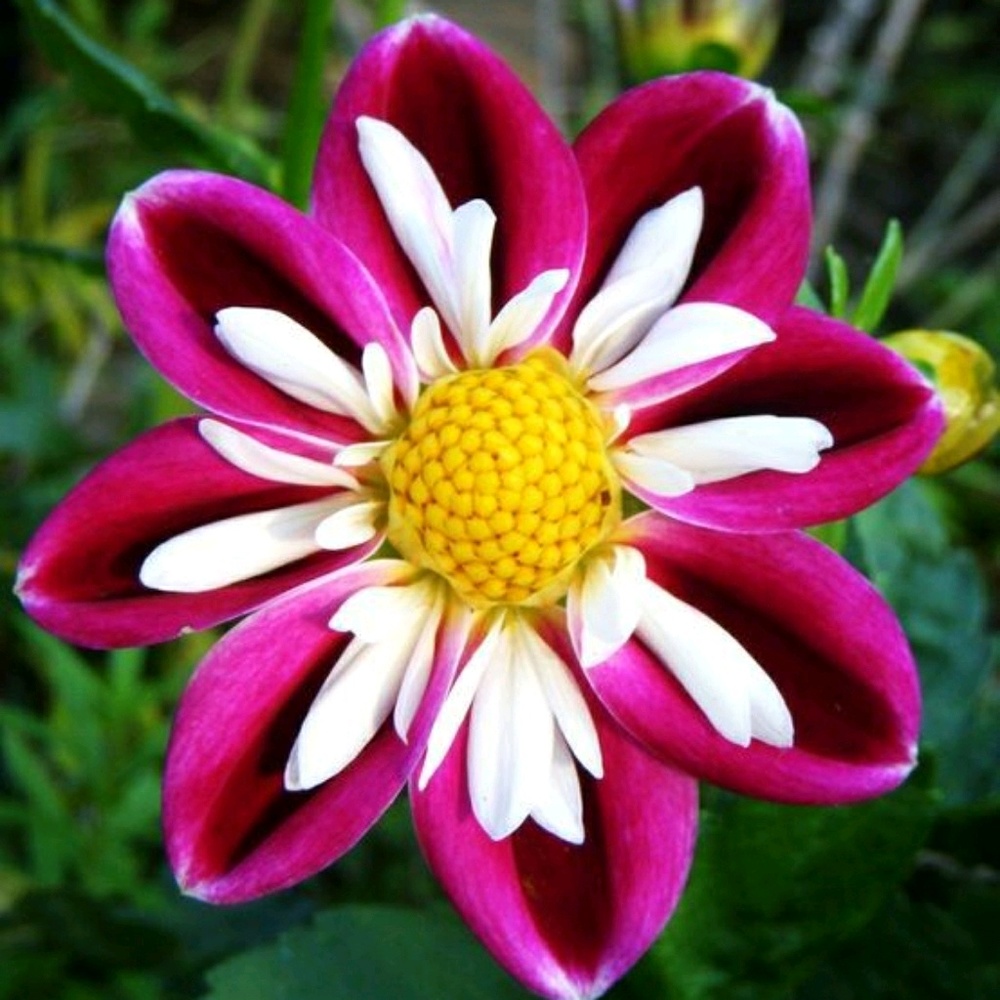 Meet your Posher, Sab